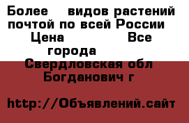 Более200 видов растений почтой по всей России › Цена ­ 100-500 - Все города  »    . Свердловская обл.,Богданович г.